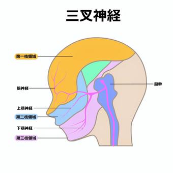 片側性顔面神経痛から手術日記その①