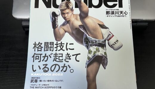 Number「格闘技に何が起きているのか。」